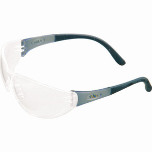 MSA 10038845 Spectacles, Arctic Elite, Clear, Antifo