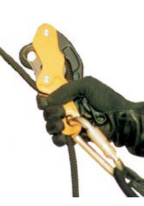 MSA 10104071 Anthron Descender