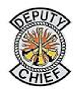 MSA DS103P Scotch. Deputy Chief Decal