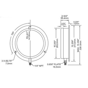 Winters 300 SERIES 10" 0-3000 PSI/KPA 1/2" BTTM  P3S6420