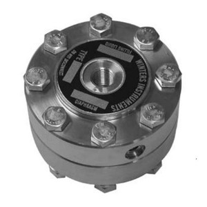 Winters #70 DIAPHRAM SEAL 316L S/S 3/4" NPT C/W FLUSH VITON  D70959V