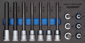 Gedore 2308932 Screwdriver bit socket set 1/2" in 1/3 Check-Tool module 1500 CT1-IN 19 LKM
