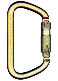 MSA SRCC642 Rescue Carabiner Large D Auto