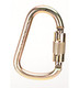 MSA SRCC413 Carabiner Steel 10Mm Equal D