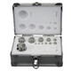 Adam Equipment  ASTM 4 1g - 500g Calibration Weight Set