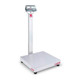 OHAUS Bench Scale, D52P50RQV3