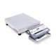 OHAUS Bench Scale, D52P25RQR5