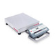 OHAUS Bench Scale, D52P50RQR5