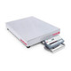 OHAUS Bench Scale, D52P50RTX5