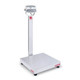 OHAUS Bench Scale, D52XW125RQV3