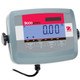 Ohaus 83998110 Indicator, T31P       AM