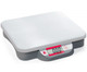 Ohaus 83998137 Bench Scale, C11P9       AM