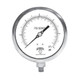 Winters 300 SERIES 8.5" 0-600 PSI/KPA 1/4" BTTM  P3S6216
