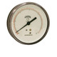 Winters 4" AMMONIA 30"/0/150 PSI/F 1/4" BACK  PAM1697