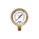 Winters 2.5" BRASS CASE 0/1500 PSI/KPA 1/4" BTM  PBC816