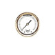 Winters 2.5" BRASS CASE 30/0/160PSI/KPA 1/4"BACK  PBC892