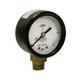 Winters 2" COMPRESSED GAS GAUGE, 0-30 PSI, 1/4" BTM  PCG9020