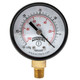 Winters ECONOMY 2" 0-30" VAC/KPA 1/8" NPT BTM  PEM195