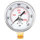 Winters ECONOMY 2.5" 0-3000 PSI/KPA 1/4" NPT BTM  PEM291