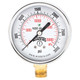 Winters PEM-LF SERIES (LEAD-FREE) 2" 0/30" VAC/KPA 1/8" NPT LM  PEM195LF