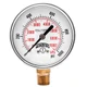 Winters PEM-LF SERIES (LEAD-FREE) 2.5" 0/1000 PSI/KPA 1/4" NPT LM  PEM290LF