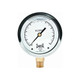 Winters FILLED/BR 2.5" 30"/0/150 PSI 1/4" BOTTOM  PFQ792R1