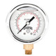 Winters FILLED/BR 2" X 1/8" NPT BTM 30/0/15 PSI/KPA  PFQ2401