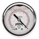 Winters FILLED/BR 2" X 1/8" NPT BACK 30/0/60 PSI/KPA  PFQ2429