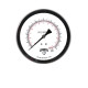 Winters FILLED/BR 2" X 1/4" NPT BTM 0/60 PSI/KPA  PFQ2462