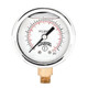 Winters QUALITY FILLED 2" x 1/8" NPT BTM 0/600 PSI/KPA  PFQ2264