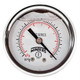 Winters QUALITY FILLED 2" x 1/4" NPT BACK 0/160 PSI/KPA  PFQ2219