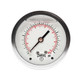 Winters FILLED/SS 2.5" 0-30 PSI/KPA 1/4" NPT BACK  PFQ163
