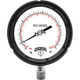 Winters PROCESS 0-800 PSI/KPA 1/2" NPT ST/ST  PPC5078