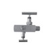 Winters BBV,SS NACE,1/4Fx1/4FNPT,HARD,10K,2HDL  BBV3220N