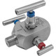 Winters DBL BBV,SS NACE,1/2Fx1/2FNPT,HARD,10K,3HDL  BBV3421N