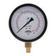 WINTER PFQ1133LF PFQ-LF FILLED LEAD-FREE BRASS 1.5" X 1/8" NPT CBM 0/5,000 PSI/KPA