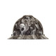 MSA 10204787 Hat Assy,V-Gard,FT3,Devils Kanyon,Dipped