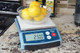 REED R9850 Digital Industrial Portion Control Scale