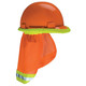 MSA 10098031 Protector