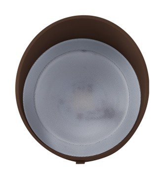 LED Landscape Flood (62-1206)