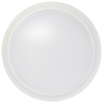 LED Disk Light (62-1671)