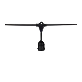 Satco - S8039 - LED String Light - Black