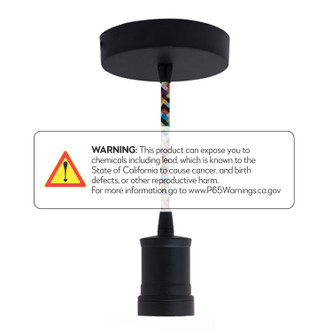 Pendants Pendant in Black (427-810086)