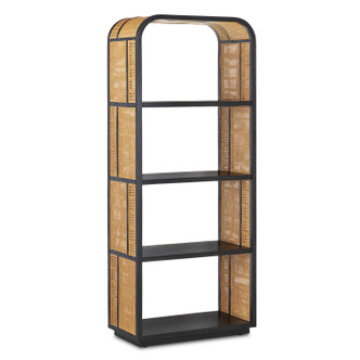 Currey and Company - 3000-0229 - Etagere - Anisa Collection - Natural/Black