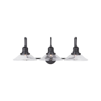 Roan Three Light Vanity (9D318A)
