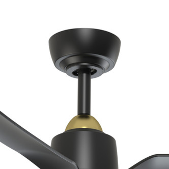 manufacturer_finish:Brushed Gold/Matte Black