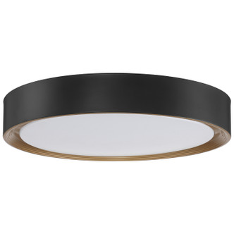Malaga LED Flush Mount (49972LEDD-MBL/ACR) Malaga LED Flush Mount (49972LEDD-MBL/ACR)