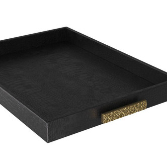 Gavin Tray (AYI06) Gavin Tray (AYI06)