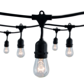 Bulbrite - 812312 - String Light - String - Black Bulbrite - 812312 - String Light - String - Black