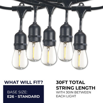 String String Light (812313) String String Light (812313)